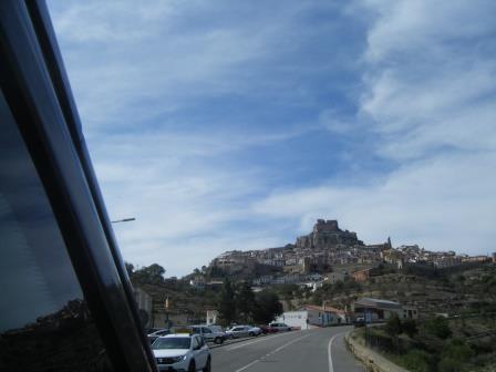 Morella 1